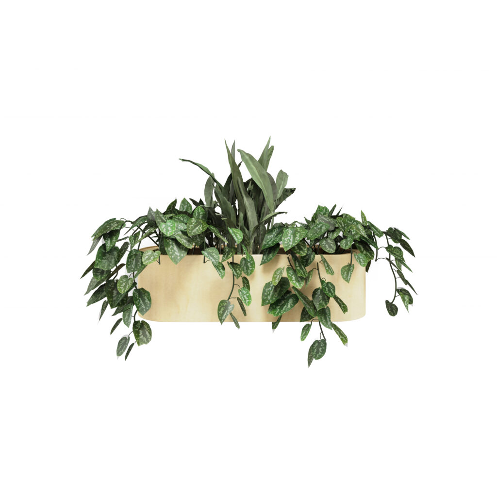 STORY WALL PLANT BOX HOPEAKÖYNNÖS JA